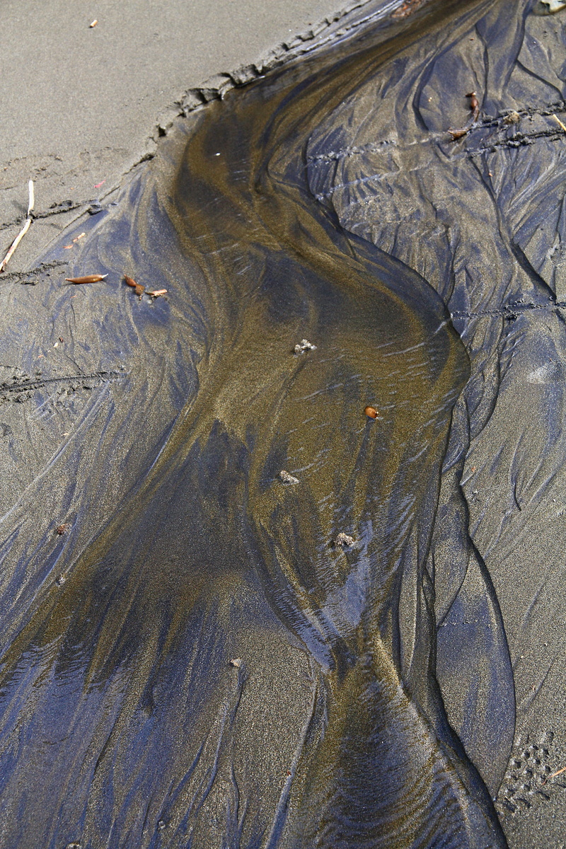 environment, no people, beauty in nature, water, oil slick, painting, wildlife, non-urban scene, aerial, coho, river, sand, day, rock, fish, aquatic, amphibian