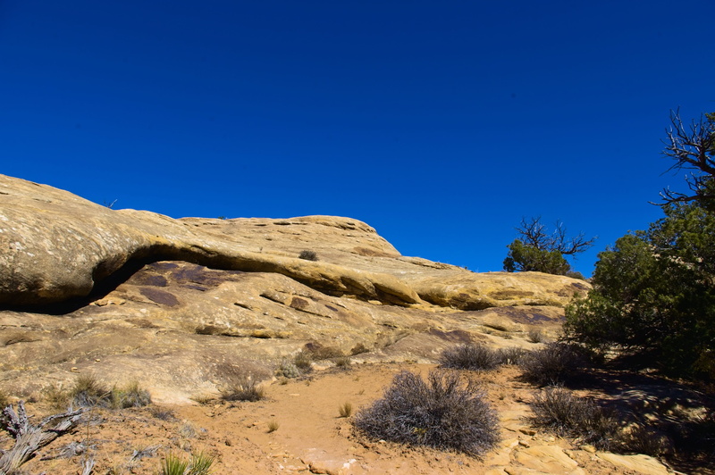 park, red, beauty in nature, usa, rock - object, tranquil scene, tranquility, tree, sandstone, 2K, landscape, clear sky, utah, land, geology, climate