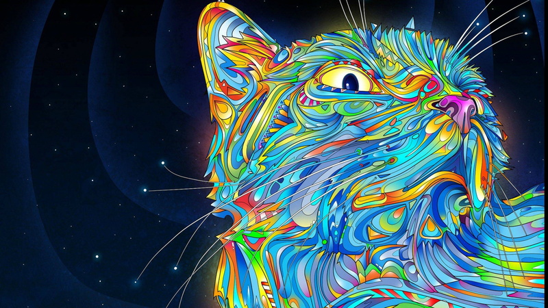 2K, artistic, cat, hd art, 2560x1440, 4K