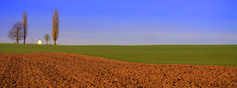 blue, tree, green, non-Urban Scene, green Color, hill, farm, plain, rural Scene, landscape, land, nature, 2K, outdoors, landscaped, belgique, Saint Donat
