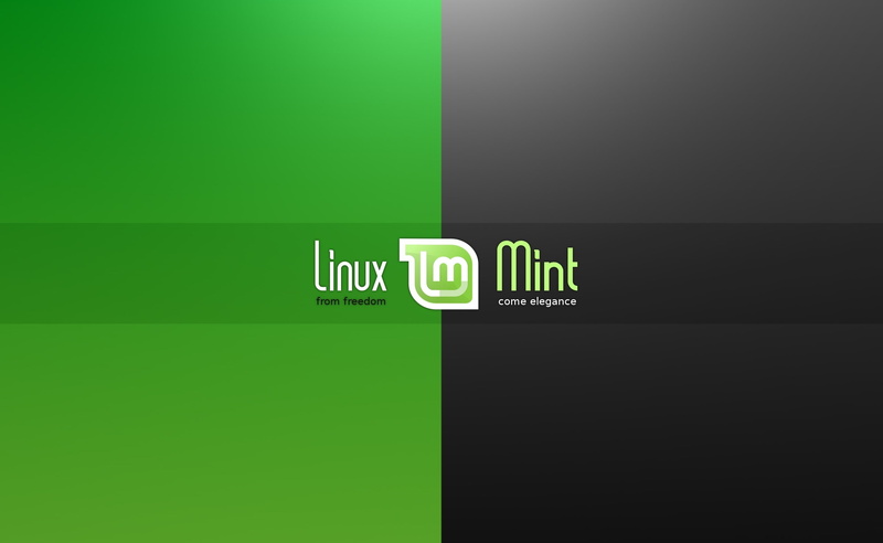 communication, Computers, internet, linux mint, copy space, number, neon colored, glowing, mint come elegance, neon, backgrounds, mint, Linux, no people