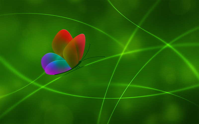 shape, sunlight, creativity, symbol, multi Colored, decoration, love, vector, springtime, color Image, line, no people, positive emotion, purple, Butterfly