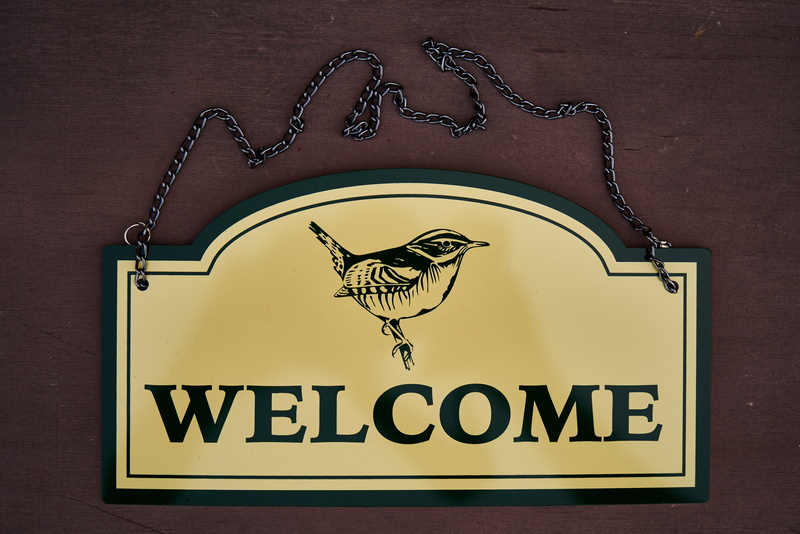 animal themes, sign, text, animal wildlife, craft, wood - material, no people, capital letter, symbol, graphics, welcome, representation, animal, bone