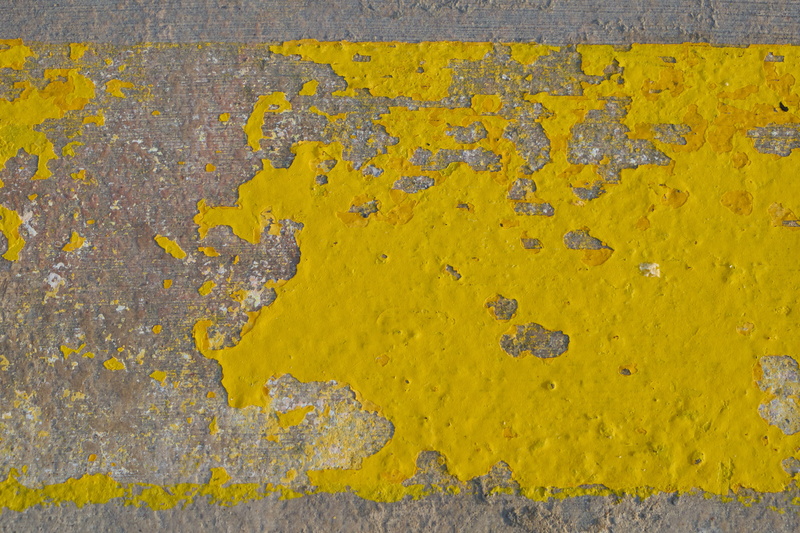 surface, no people, 4K, close, textured, high angle view, pattern, flower, stone, macro, background, ground, urban, yellow, msn letters, wall - building feature