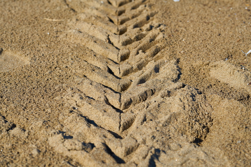 animal track, msn letters, sunlight, pattern, texture, footprint, land, travel, brown, day, high angle view, race, macro, textured, truck, speed, terry