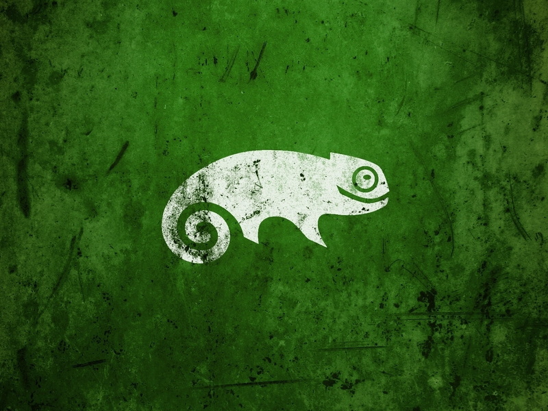 outdoors, day, weathered, Linux, animal themes, animal, old, art and craft, nature, white, close-up, one animal, chameleon, metal, linux ubuntu, no people