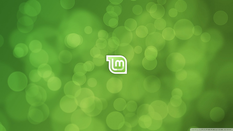 smart phone, day, lens flare, tree, wireless technology, digital composite, portable information device, backgrounds, geometric shape, nature, shape, green color
