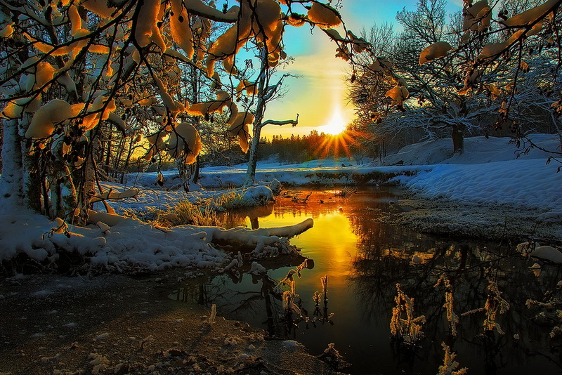 color, cool, the sky, sunset, view, winter, 1080P, plant, sky, branch, non-urban scene, river, morning, forest, orange Color, night, red, lens flare, lake