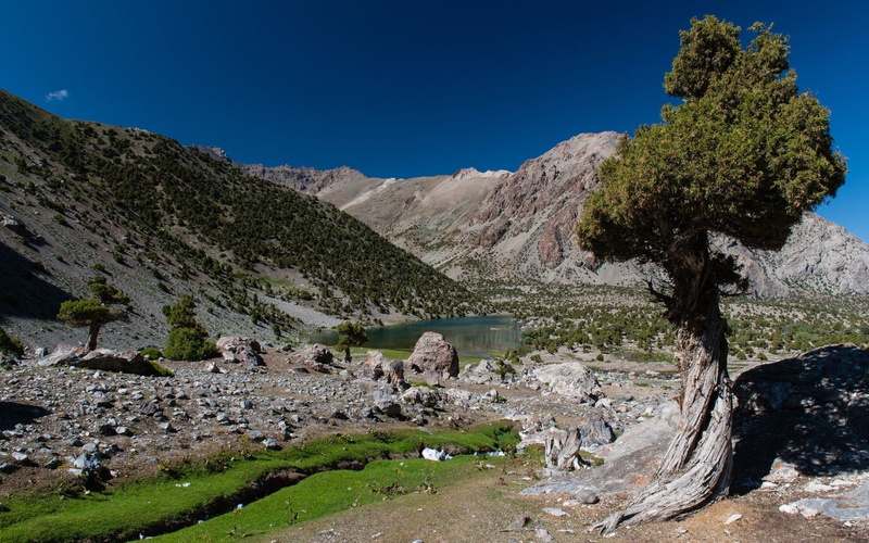 1920x1200, 4k wallppaers, lake, Mountain, 1080P, nature, tree