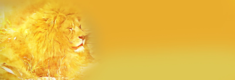 1080P, yellow, toy, domestic animals, sunny, graphics, mammal, plant, animal, copy space, one animal, studio shot, nature, celebration, header, lion, web page
