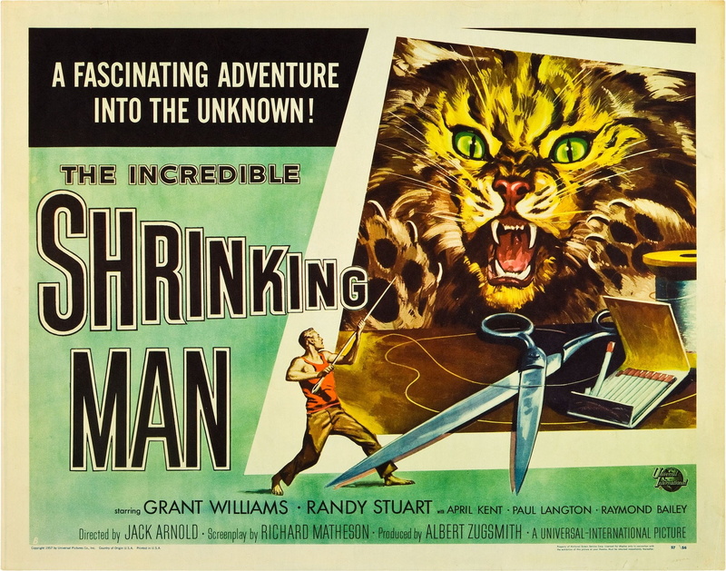 ape, fun, book, communication, dead, walking, animal wildlife, mural, The Incredible Shrinking Man, psychotronics, text, humor, Film posters, comic, western script