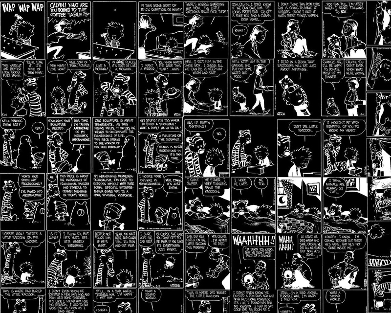 retail, textile, Calvin and Hobbes, pattern, indoors, variation, technology, black, printed, arrangement, metal, comic books, repetition, for sale, inverted colors