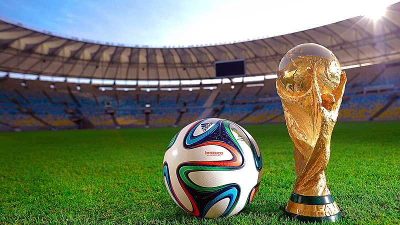 grass, 1080P, sports, plant, trophy, fifa, stadium, ball, world cup, sports equipment, football