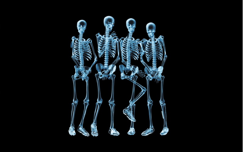 x-ray, medical Scan, skeletons, human Spine, close-up, x-ray Image, illustration, biology, medicine And Science, human hand, physical Injury, bone, human Bone