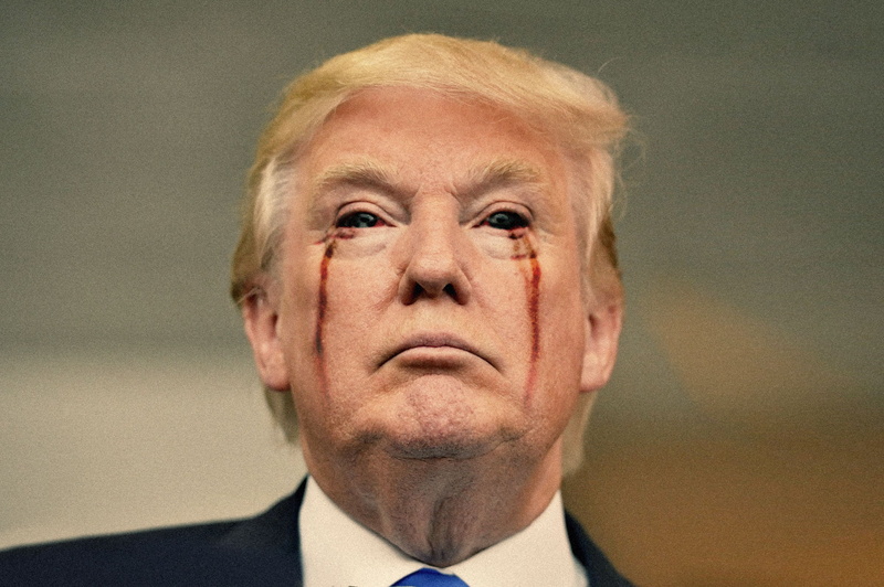 usa, united, president, donald, men, 1080P, america, man, states, trump
