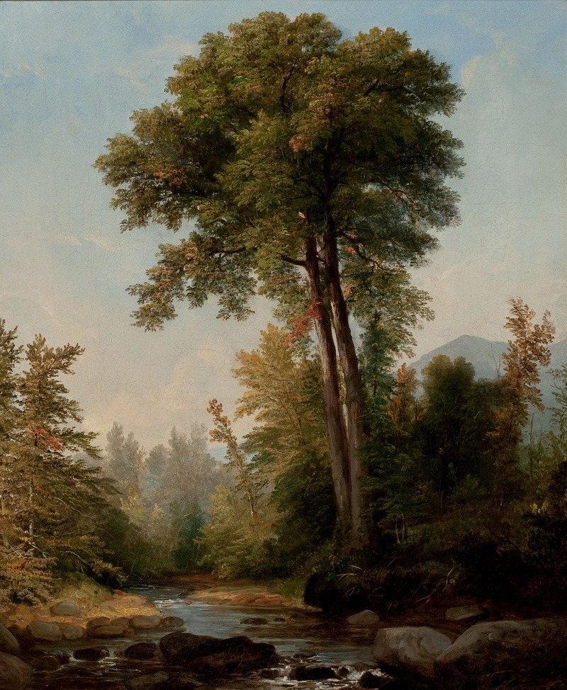 painting, woodland, water, outside, beside, fall, growth, environment, sky, land, autumn, scenics - nature, durand brown, countryside, river, forest, plant