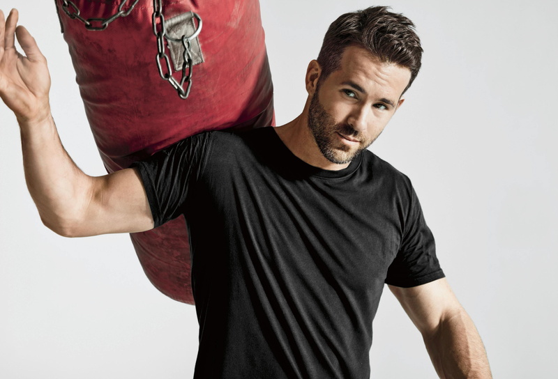 sport, the Human Body, competition, people, health Club, studio Shot, 2K, punching bag, body Building, lifestyles, males, young Adult, one Young Man Only