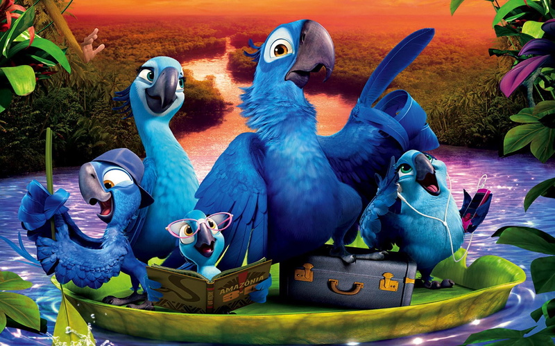 animal wildlife, no people, rio, macaw, animal themes, vertebrate, bird, animal, Rio 2, parrot, 1080P, animals in the wild, Cartoon, Comedy, four animals