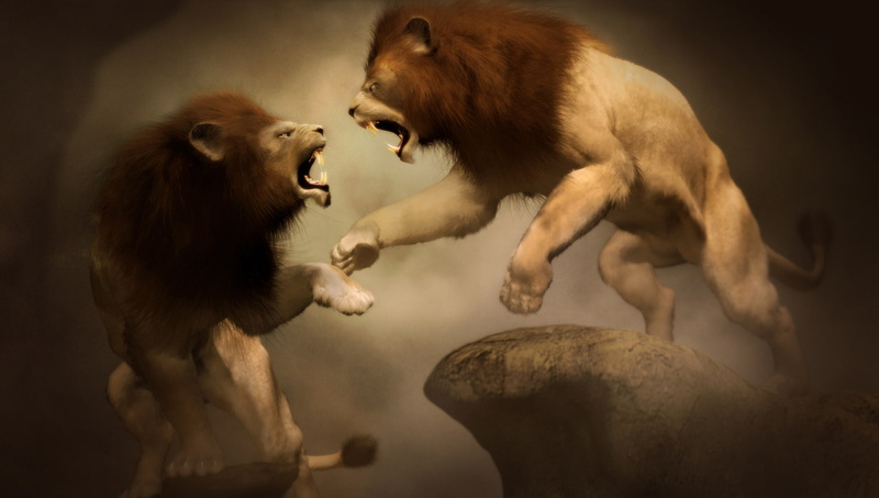 illustration, standing, digital composite, Art, cute, jump, small, carnivore, wildlife, two animals, lions, confrontation, rendering, 1080P, stone, roaring