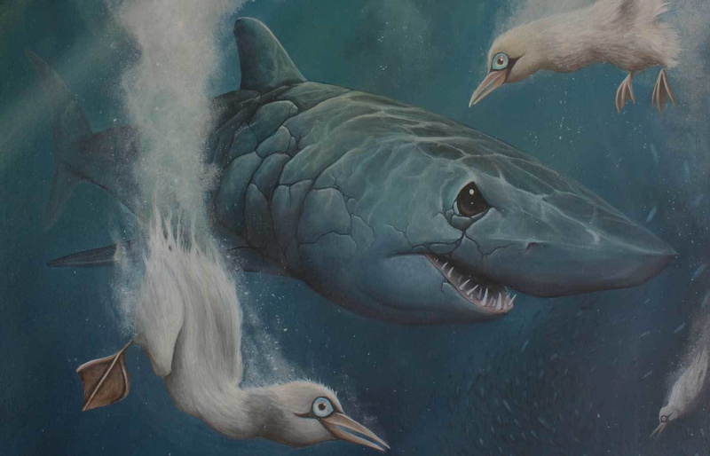 group of animals, two animals, aquarium, animals in the wild, nature, animal themes, animal, Protest the Hero, water, school of fish, undersea, vertebrate