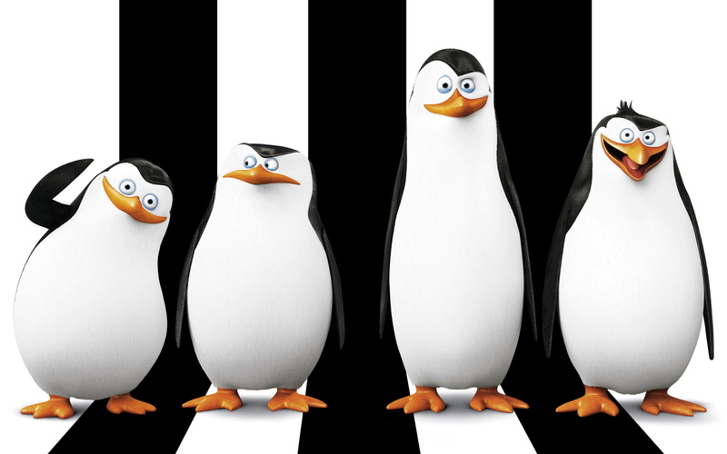 madagascar, 2K, penguins