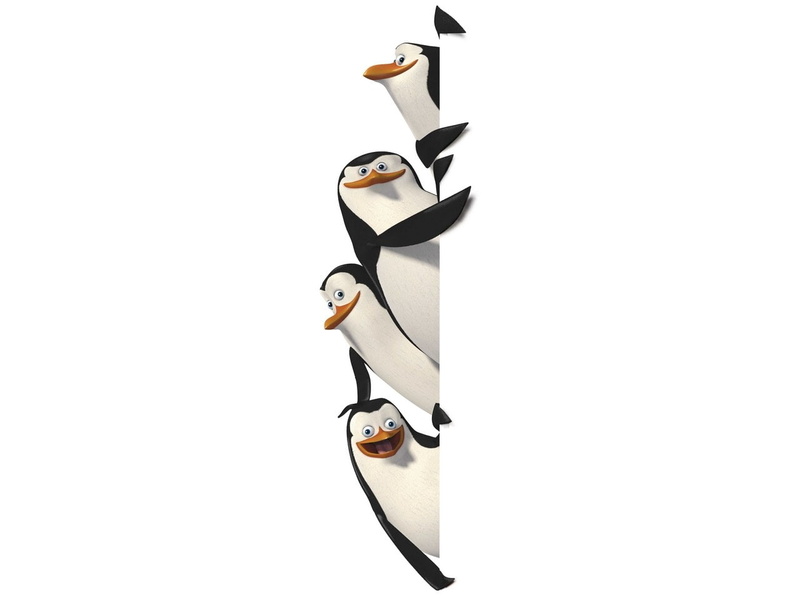 penguin, 720P, penguin Of Madagascar, madagascar, kid, entertain, cartoon, movie