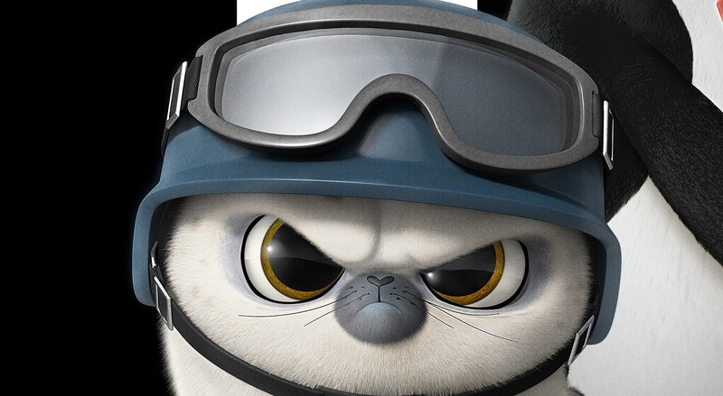 close-up, Seal, short, Madagascar, Penguins, harp seal, eyewear, indoors, celebration, hd, no people, security, fashion, still life, glasses, black background