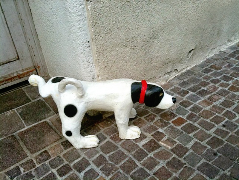 made of stone, pets, wall - building feature, high angle view, domestic animals, statue, animal, day, dog, sculpture, white, animal themes, architecture