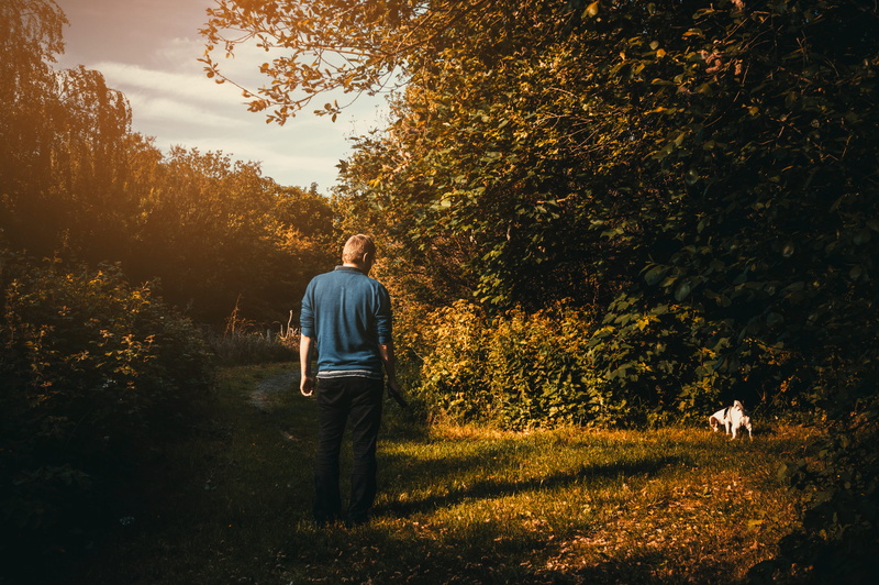 leisure activity, person, casual clothing, wearing, standing, walking, real people, 5K, outdoors, dog, tree, full length, woods, land, sunset, light, looking