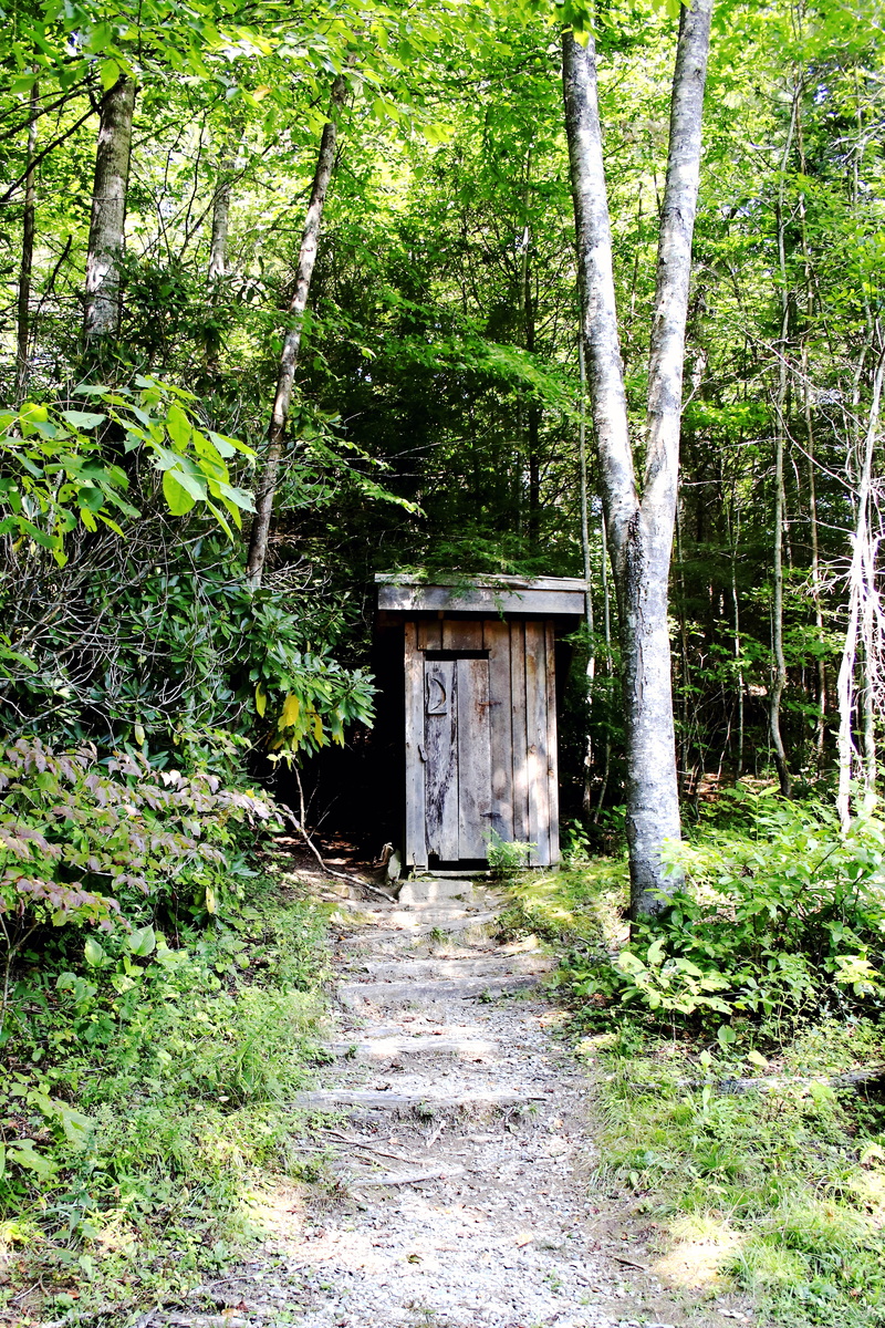 united states, woodland, plumbing, building exterior, house, path, plumber, toilet, forest, landscape, latrine, leaves, abandoned, gotta go