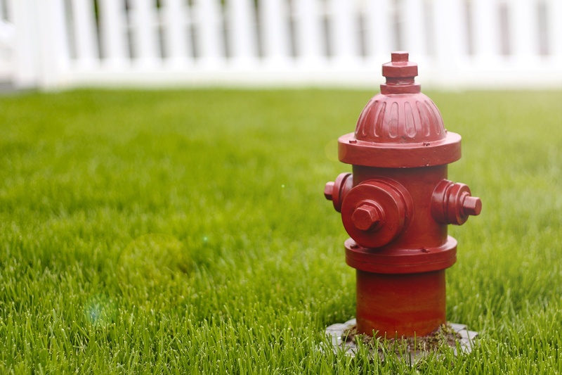 hydrant, red, nature, grass, focus, plant, field, day, accidents and disasters, green color, safety, fire, selective, metal, single object, photography