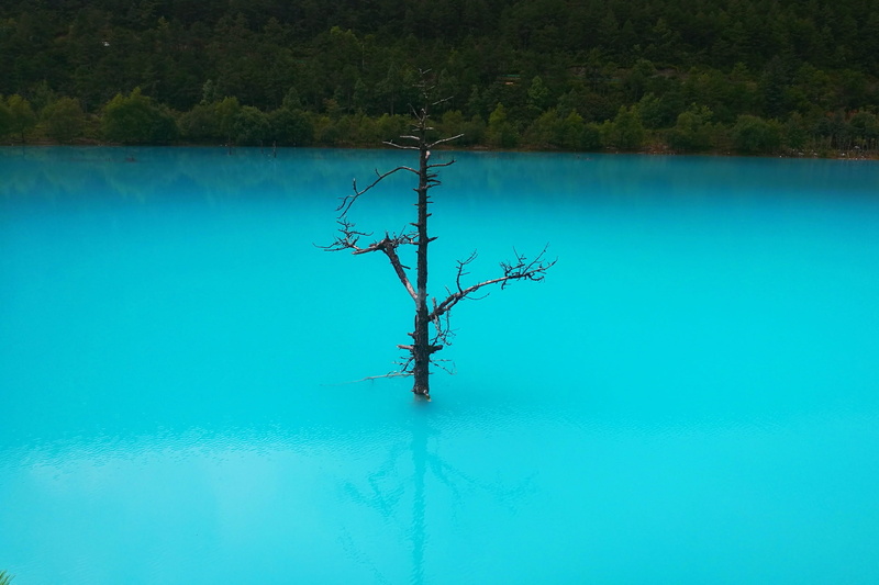 day, lijiang, beauty in nature, water, tranquil scene, blue moon valley, waterfront, 2K, in yunnan province, lake, swimming pool, reflection, growth, branch