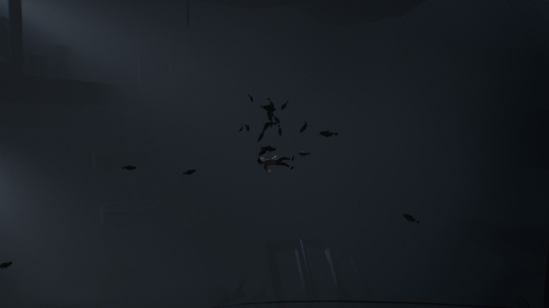 Inside, Playdead, 1080P
