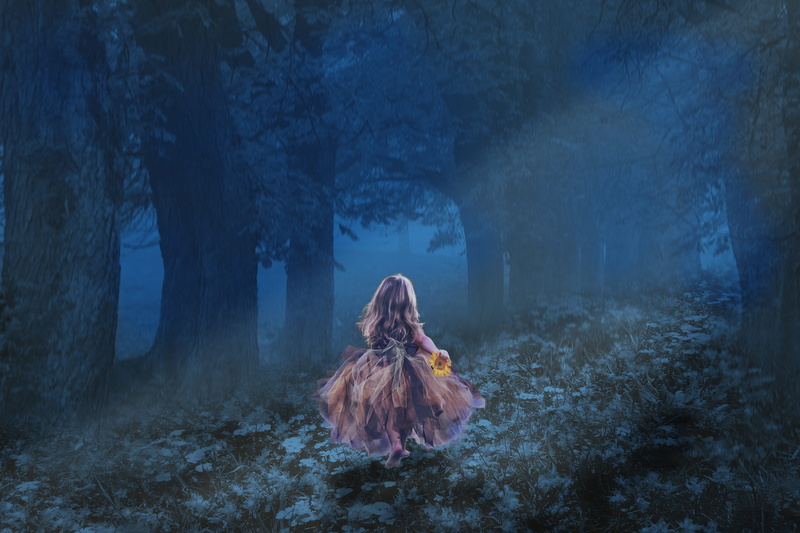 5K, fashion, away from flowers, moonlight, tree, spooky, running, woodland, ghost, hairstyle, fun, land, dress, little kid, plant, walk, fantasy