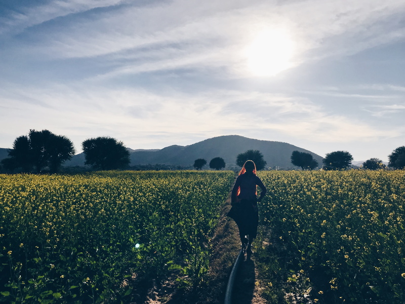 tranquility, real people, nature, growth, india, one person, lifestyles, sky, rajasthan, beauty in nature, landscape, environment, field, outdoors, tranquil scene