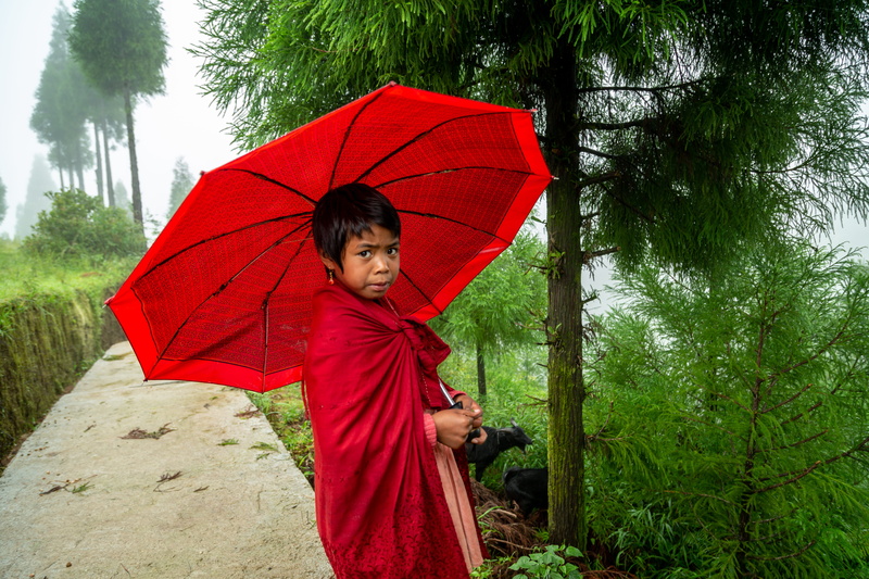 innocence, security, nature, tough, wet, clothing, girl, red, vase, front view, one person, human, potted plant, asia, day, childhood, real people, 5K