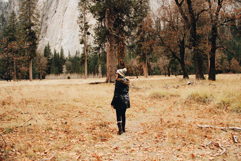white plains, day, girl in the woods, california, field, lifestyles, simples things, real people, nature, forest, autumn, outdoors, plant, clothing, fearless