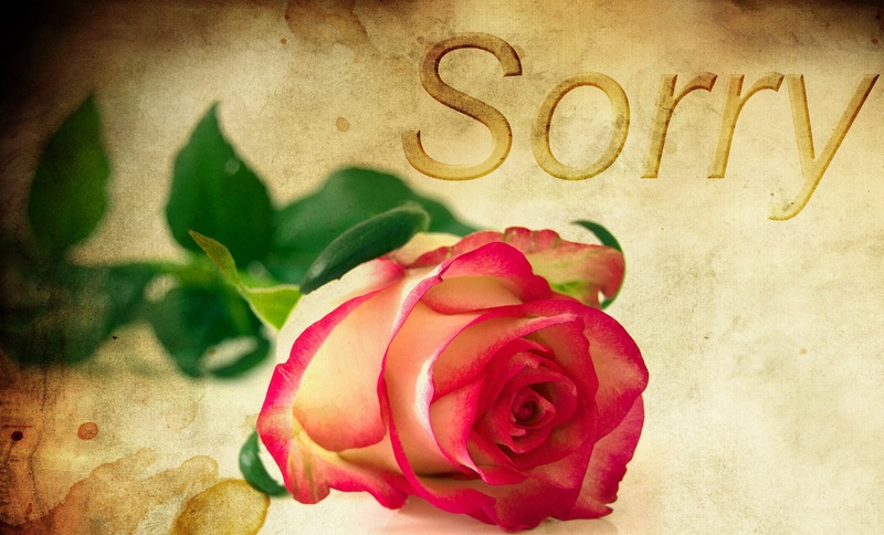 forgive, freshness, note, plant, flower, red rose, no people, vulnerability, positive emotion, petal, text, sorry, regret, fragility, close-up, backgrounds
