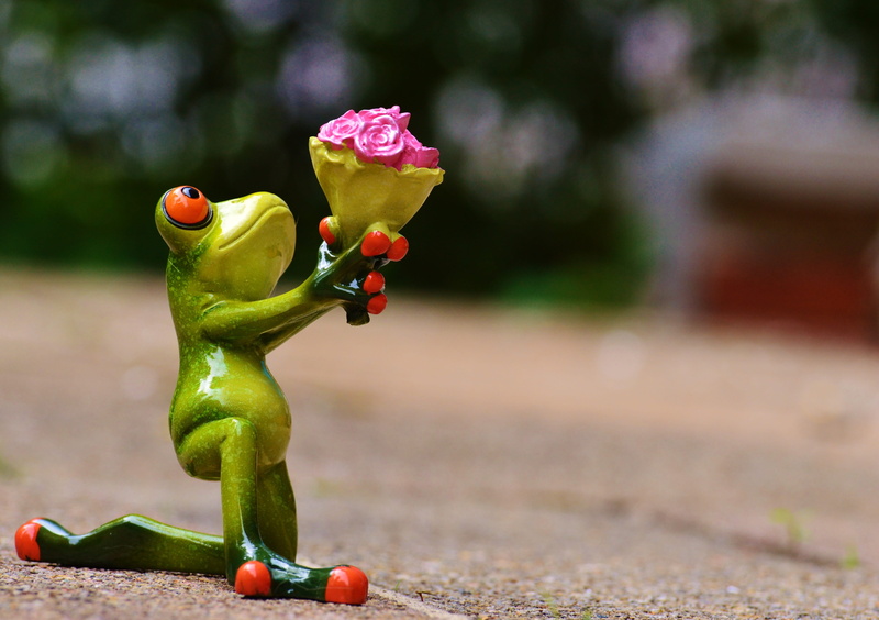 flower, forgive, animal representation, flower head, toy, bouquet, knee, petal, green color, cute, sweet, roses, art and craft, funny, nature, excuse me
