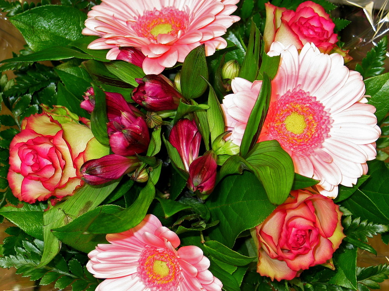 bunch of flowers, bound, congratulate, flower, plant, flowers, inflorescence, flower arrangement, florist, bouquet, flowering plant, excuse me, love, roses