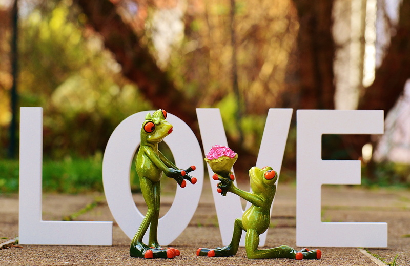 sweet, creativity, forgive, funny, love, cute, nature, emotion, 4K, outdoors, valentines day, tree, two, flowers, holiday, excuse me, frog, grave, sculpture