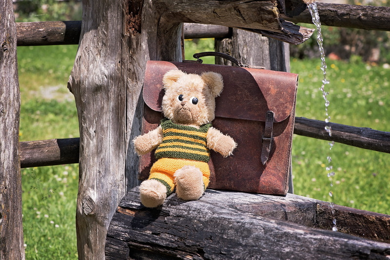 day, out, stuffed toy, schoolbag, toy, old, bears, 2K, softness, childhood, outdoors, leather case, solitude, animal representation, rest, abandoned, teddy bear