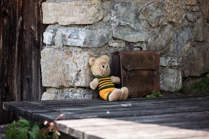 book, publication, wood - material, mammal, old, bag, animal representation, relaxation, schoolbag, animal, soft toy, stone wall, stuffed toy, architecture
