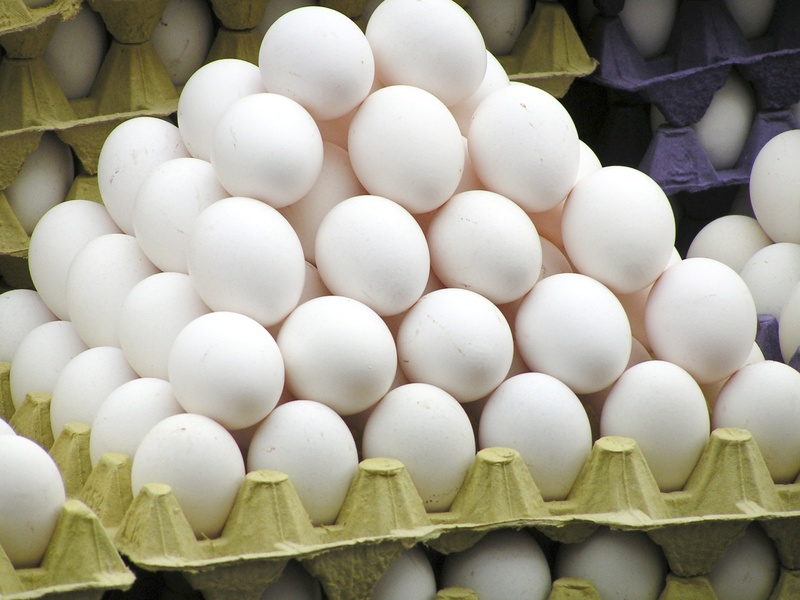 egg shells, egg box, for sale, freshness, still life, animal Egg, fragile, egg carton, plate shape, egg packaging, food, vulnerability, 1080P, white color
