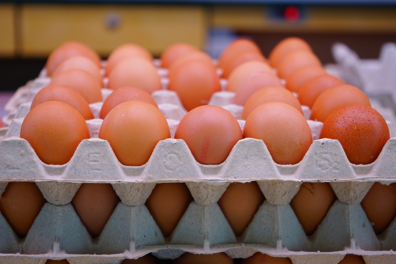 photo, eggs, egg box, abundance, focus on foreground, animal egg, wellbeing, order, plate shape, production line, no people, carton, container, food and drink