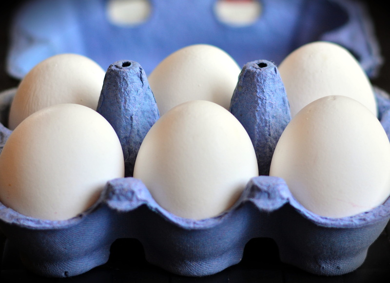 fragility, white, pack, egg packaging, blue, still life, vulnerability, 2K, group of objects, large group of objects, container, healthy eating, tray