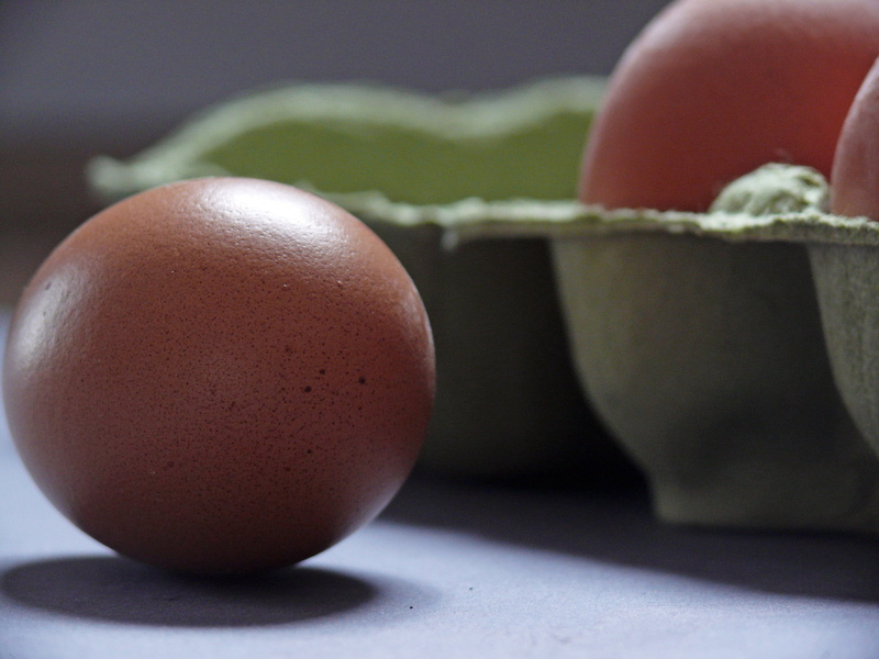 egg shells, raw food, healthy lifestyle, focus, selective, egg carton, selective focus, animal egg, 2K, nutrition, wellbeing, brown, brown eggs, no people
