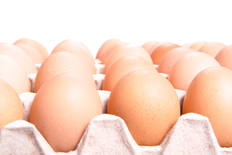egg, package, raw, protein, nature, still life, organic, uncooked, arrangement, no people, in a row, raw food, fresh, egg carton, large group of objects