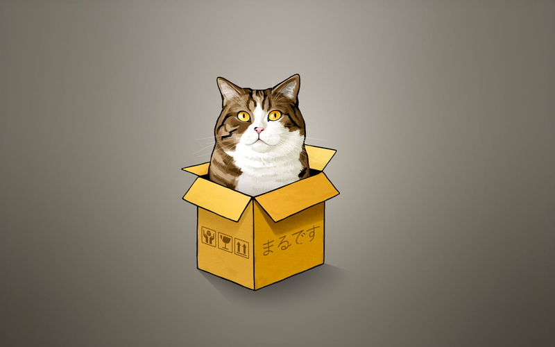 text, vertebrate, short, backgrounds, domestic, sign, communication, 1080P, mammal, white, packaging, packing, cat, container, gift, box, symbol, transportation