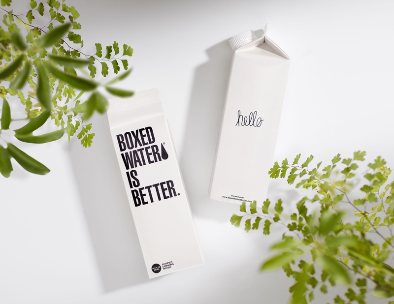 text, indoors, flower arrangement, 5K, boxed, healthcare and medicine, herb, no people, flower pot, leaf, growth, cartons, potted plant, close-up, communication